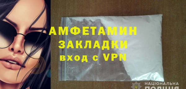 шишки Архангельск