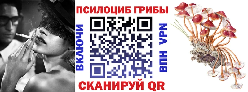 Псилоцибиновые грибы прущие грибы  Малая Вишера 